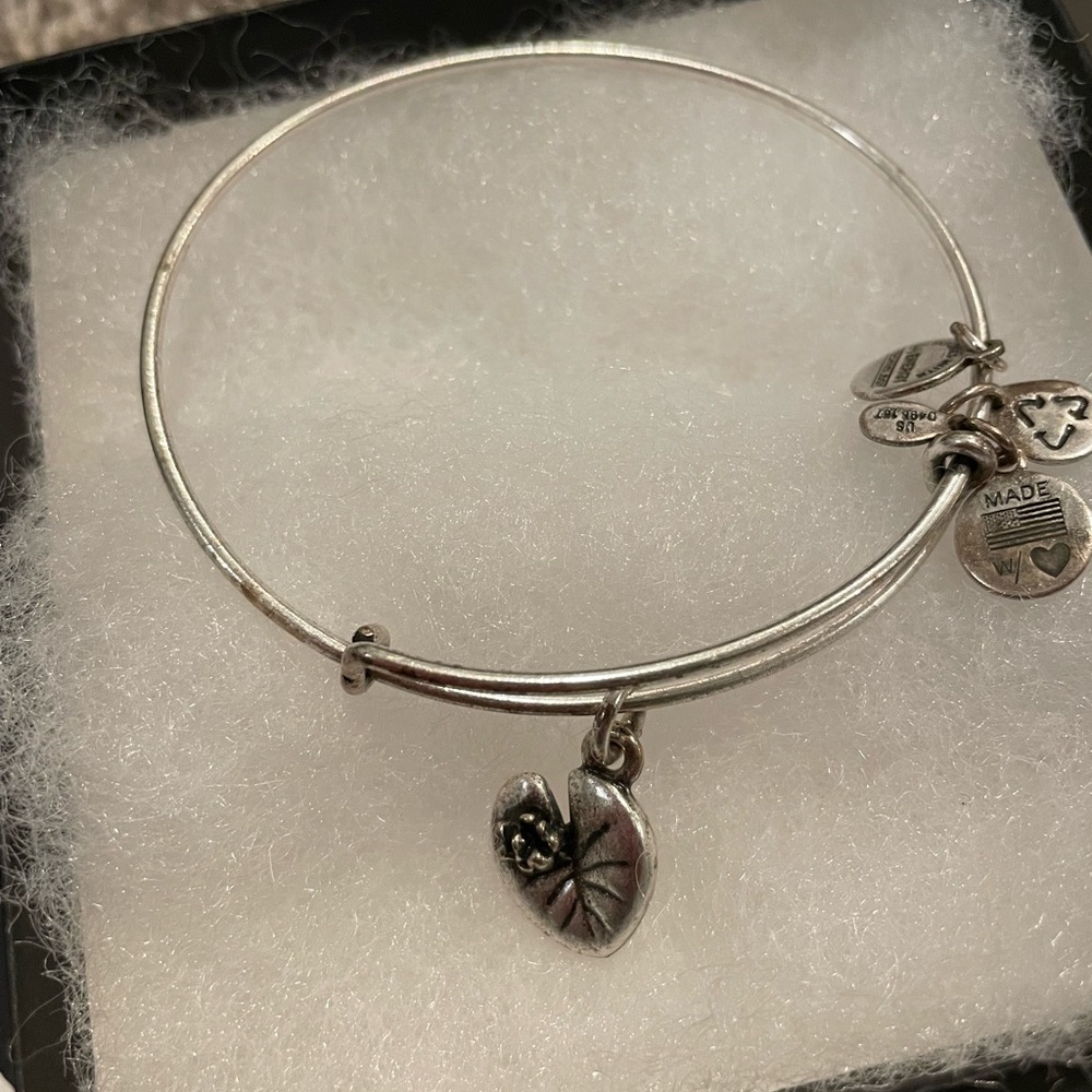 Alex and Ani bracelet